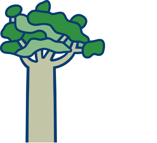 The Tindall Foundation Sponsor Logo