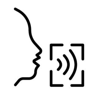 Screen reader icon