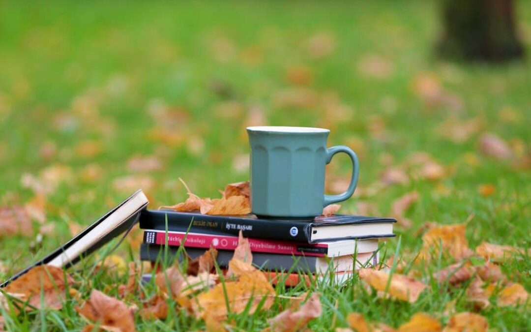 Newsletter – Autumn 2026