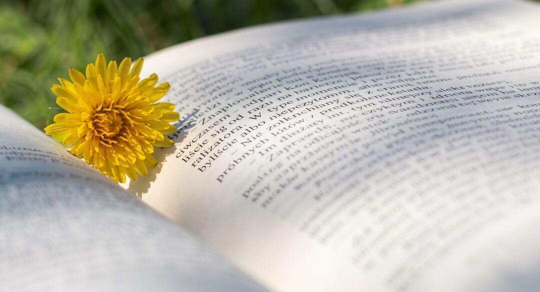 Newsletter – Spring 2026