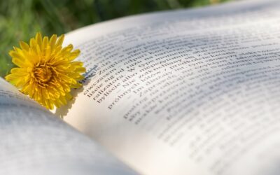 Newsletter – Spring 2026